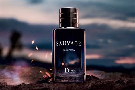 sauvage dior perfume|what does Dior Sauvage smell like.